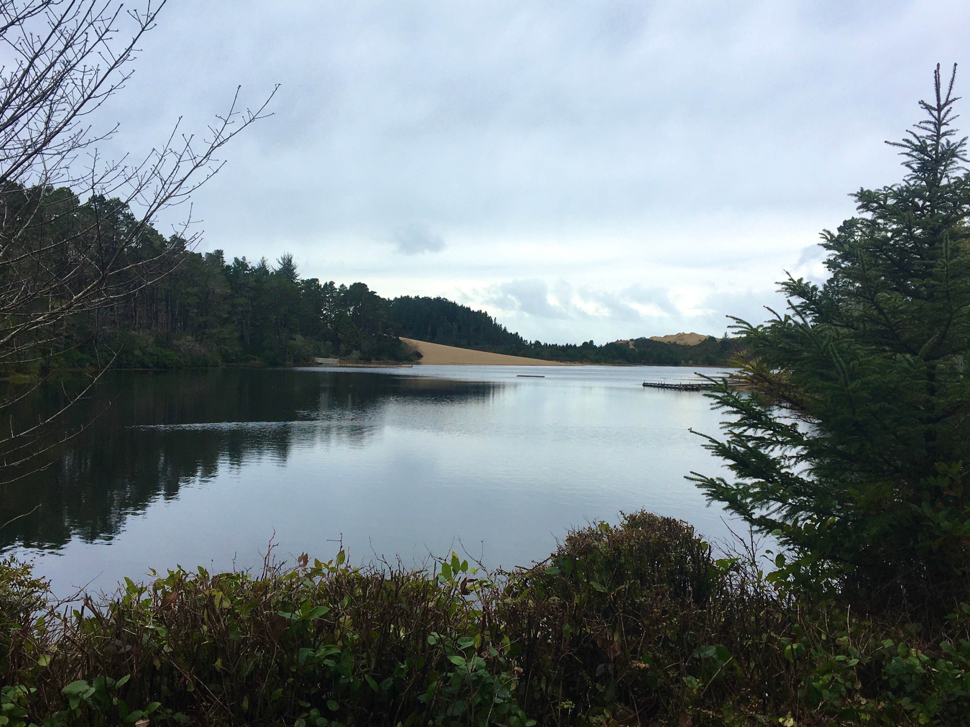 Camper-submitted photo at Jessie M. Honeyman Memorial State Park Campground near Florence, OR