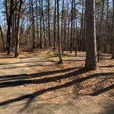 Review photo of Petit Jean State Park — Petit Jean State Park by Neil T., March 6, 2021