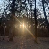 Review photo of Petit Jean State Park — Petit Jean State Park by Neil T., March 6, 2021