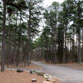 Review photo of Petit Jean State Park — Petit Jean State Park by Neil T., March 6, 2021