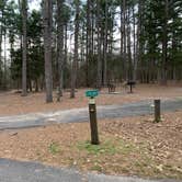Review photo of Petit Jean State Park — Petit Jean State Park by Neil T., March 6, 2021
