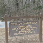 Review photo of Petit Jean State Park — Petit Jean State Park by Neil T., March 6, 2021