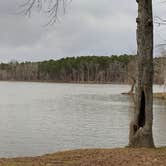Review photo of Petit Jean State Park — Petit Jean State Park by Neil T., March 6, 2021
