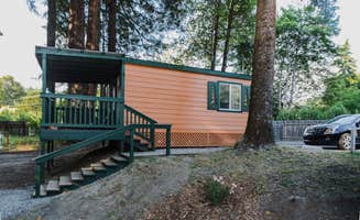 Katya Q.'s photo of a cabin at Giant Redwoods RV & Cabin Destination near Samoa, CA