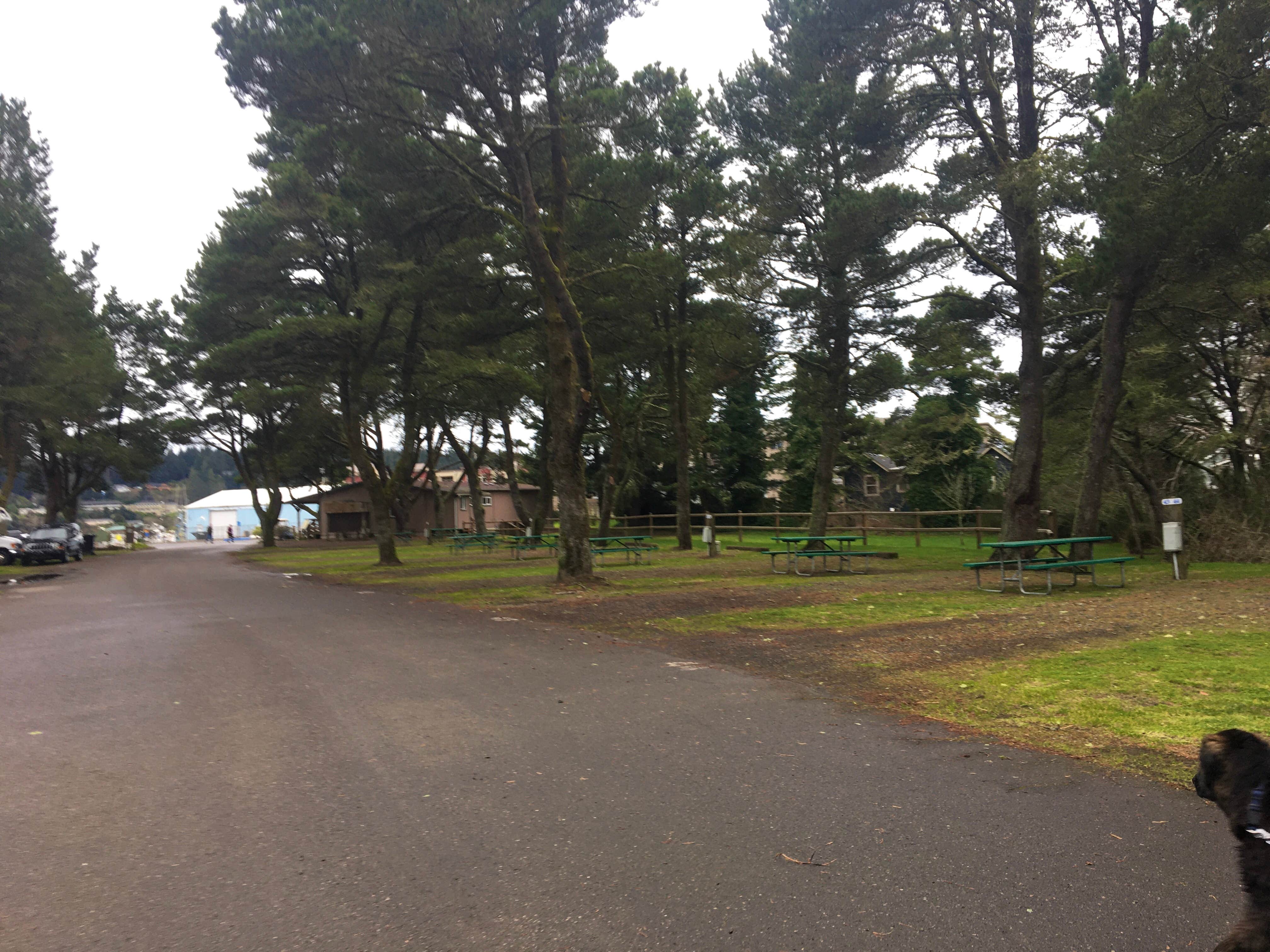 Rocco's photo of camping with pets at Port of Siuslaw Campground & Marina near Florence, OR