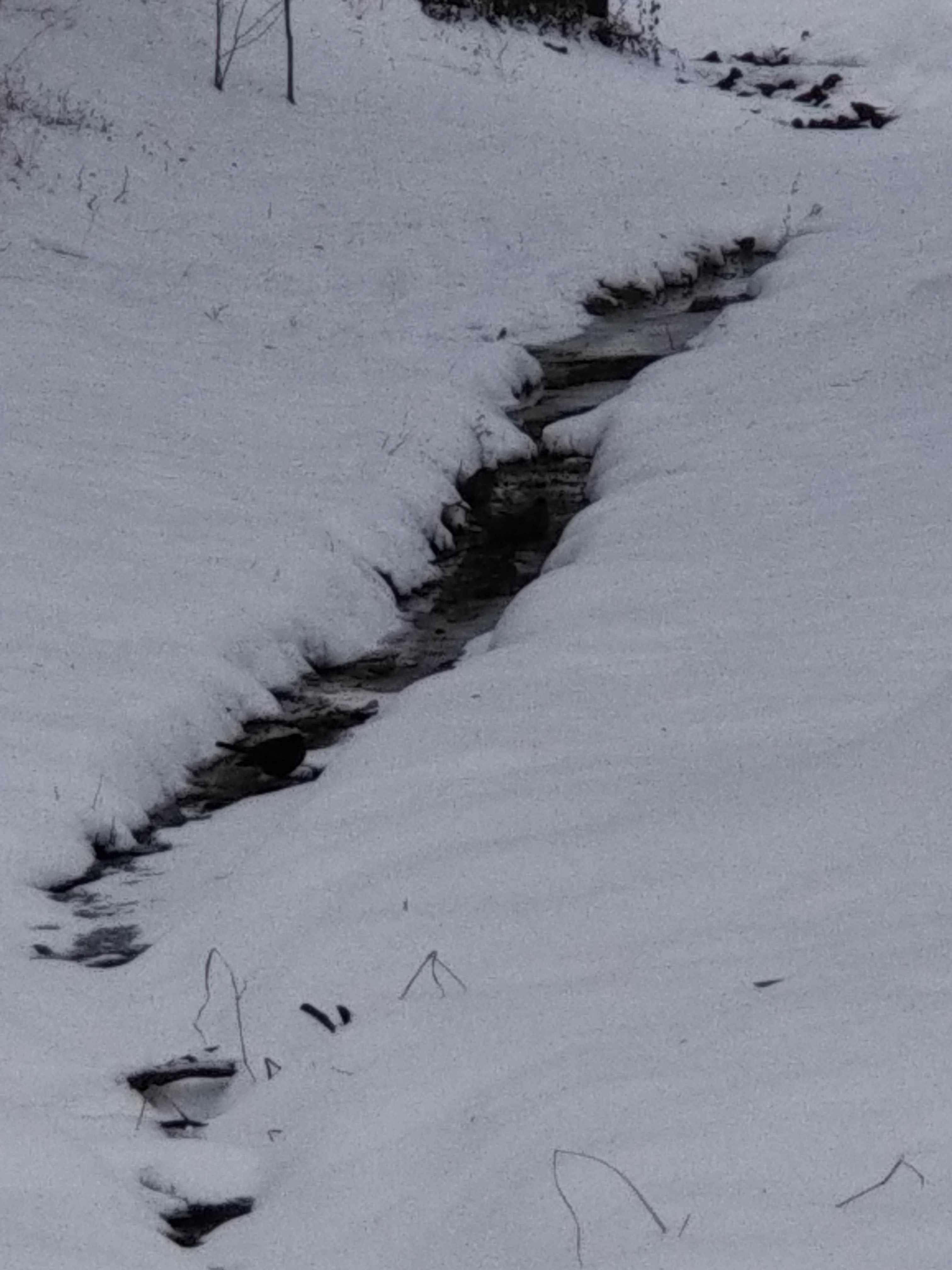 Camper-submitted photo at Park Ridge RV Campground near Van Buren, AR