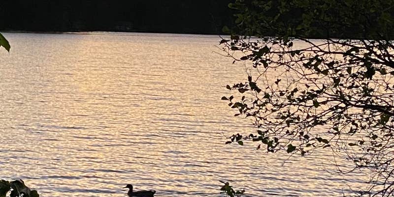 Camper submitted image from Stone Mountain Park Campground