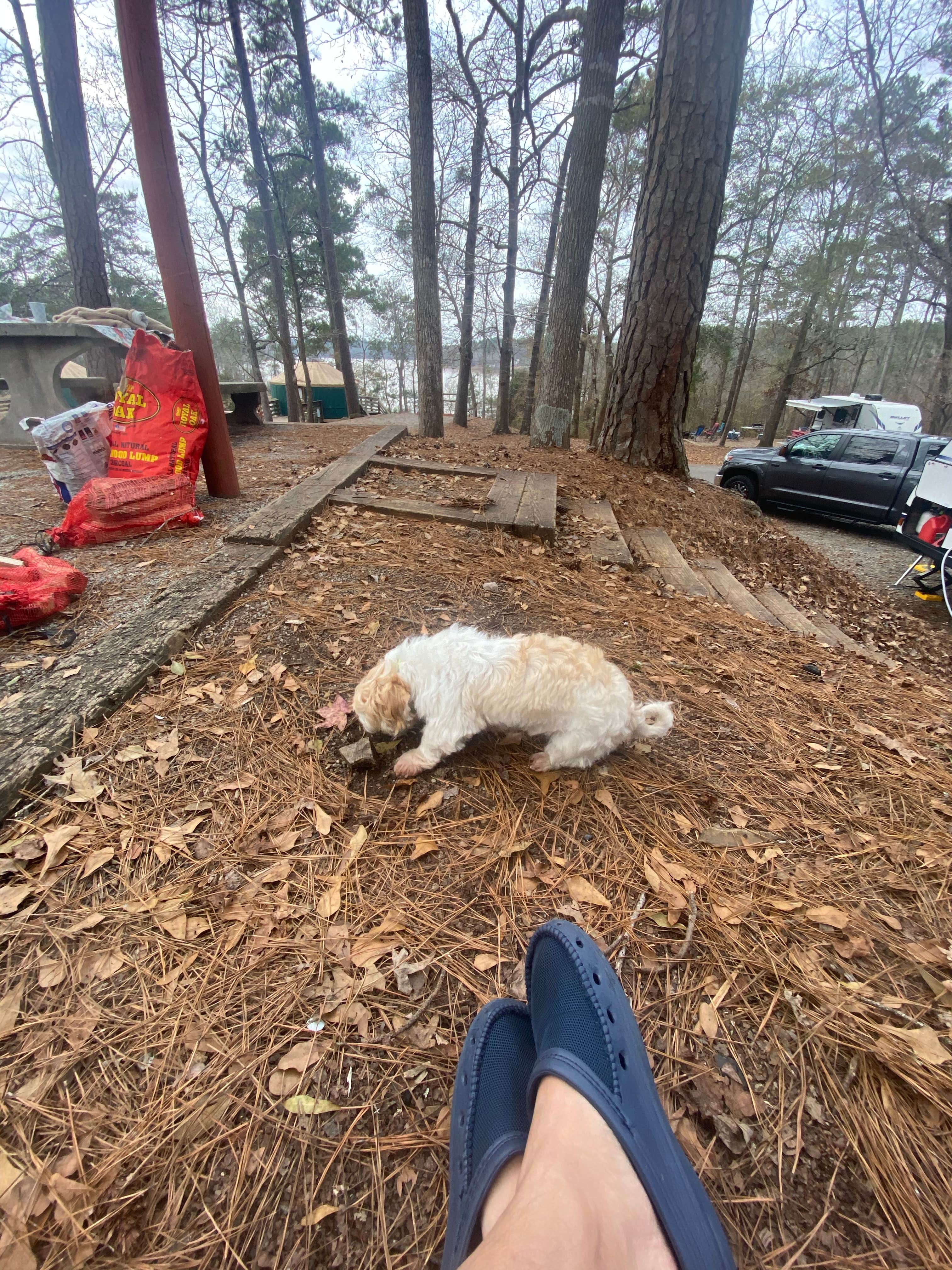 Camper submitted image from High Falls State Park Campground - 1