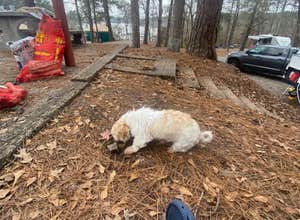 High Falls State Park Campground