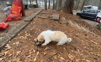 NgaoKamping's photo of camping with pets at High Falls State Park Campground near Stockbridge, GA