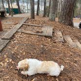 Review photo of High Falls State Park Campground by NgaoKamping , March 6, 2021