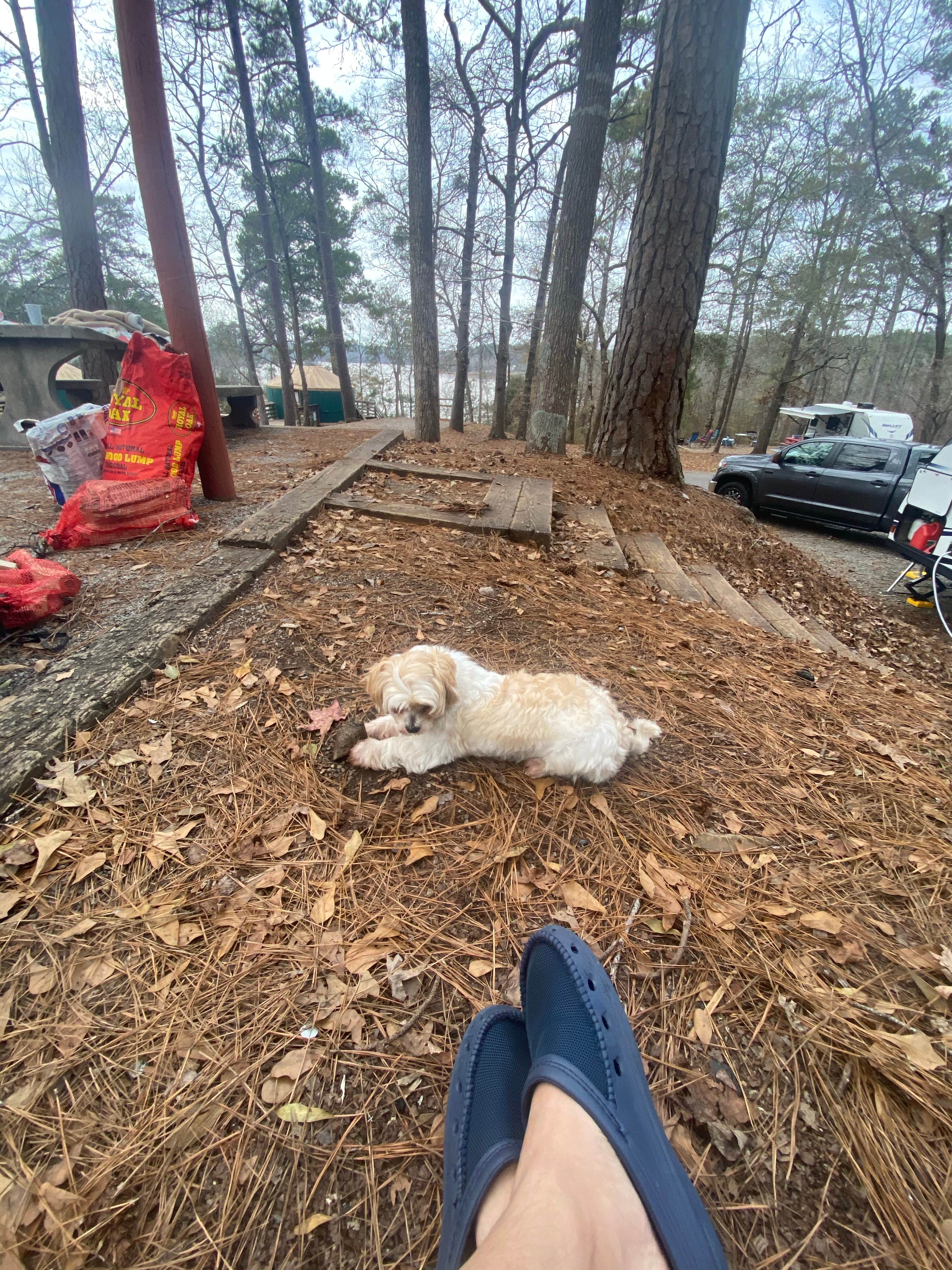 NgaoKamping's photo of camping with pets at High Falls State Park Campground near Lovejoy, GA