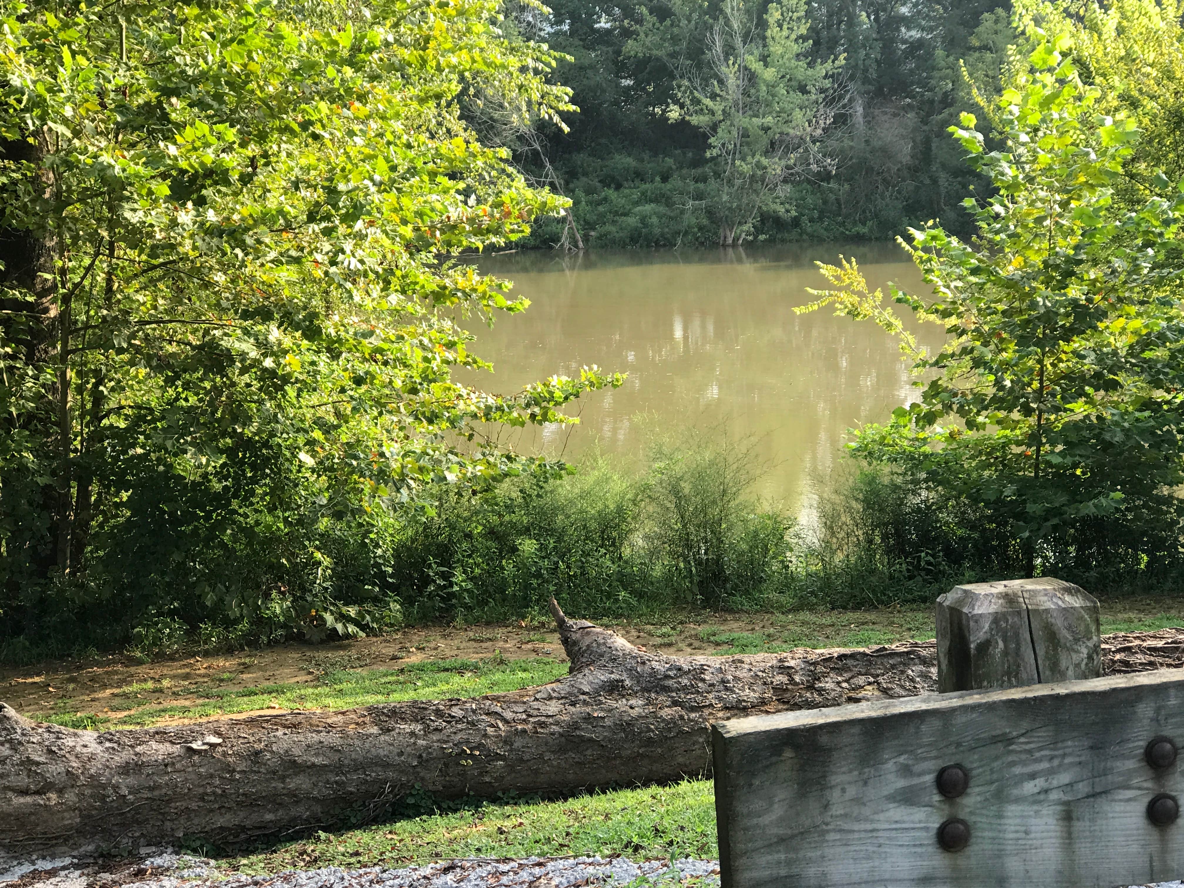Camper submitted image from Coosa River Campground Rome-Floyd County Park and Nature Center - 3