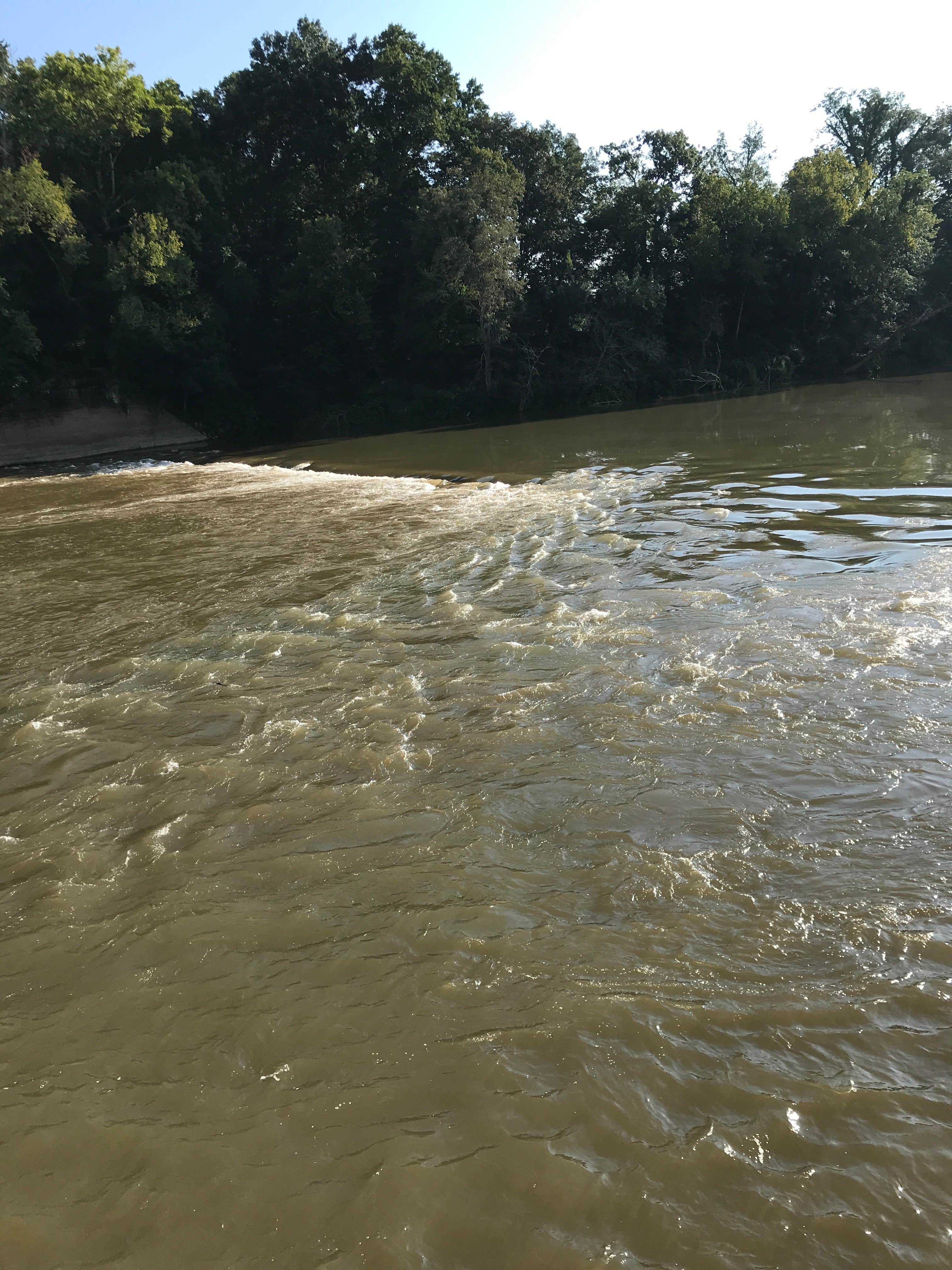 Camper submitted image from Coosa River Campground Rome-Floyd County Park and Nature Center - 5