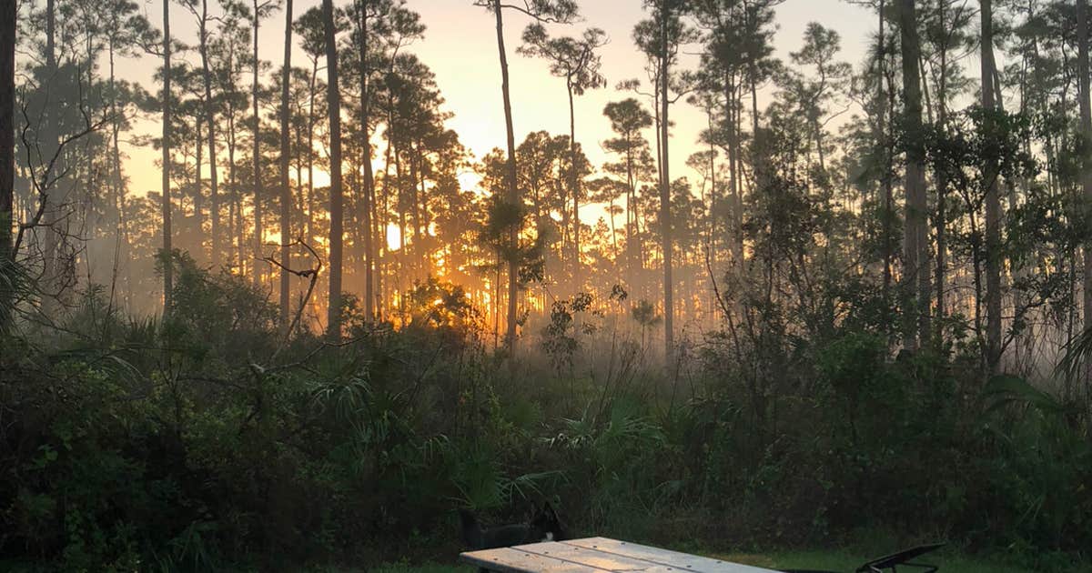 Long Pine Key Campground — Everglades National Park