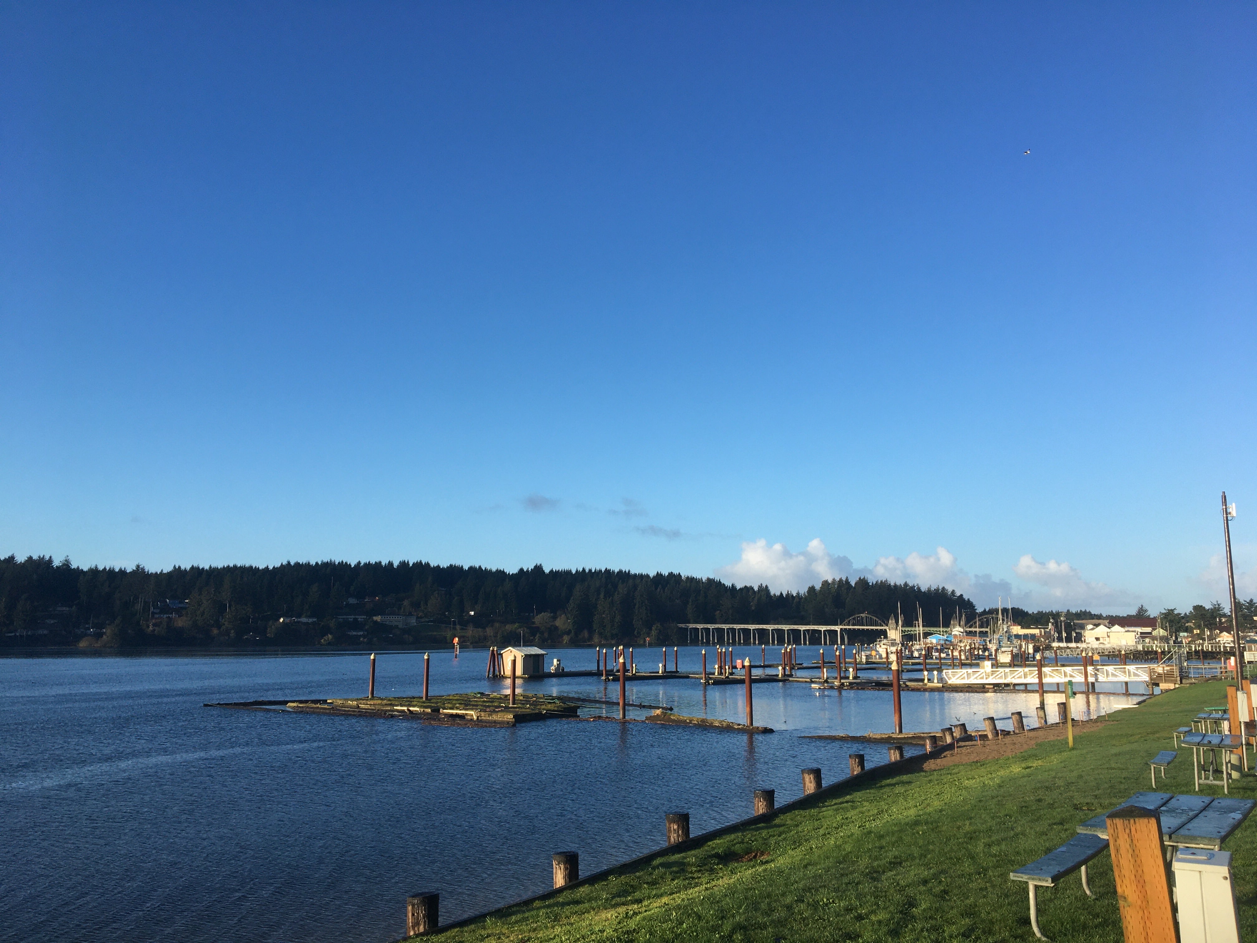 Camper submitted image from Port of Siuslaw RV Park and Marina - 4