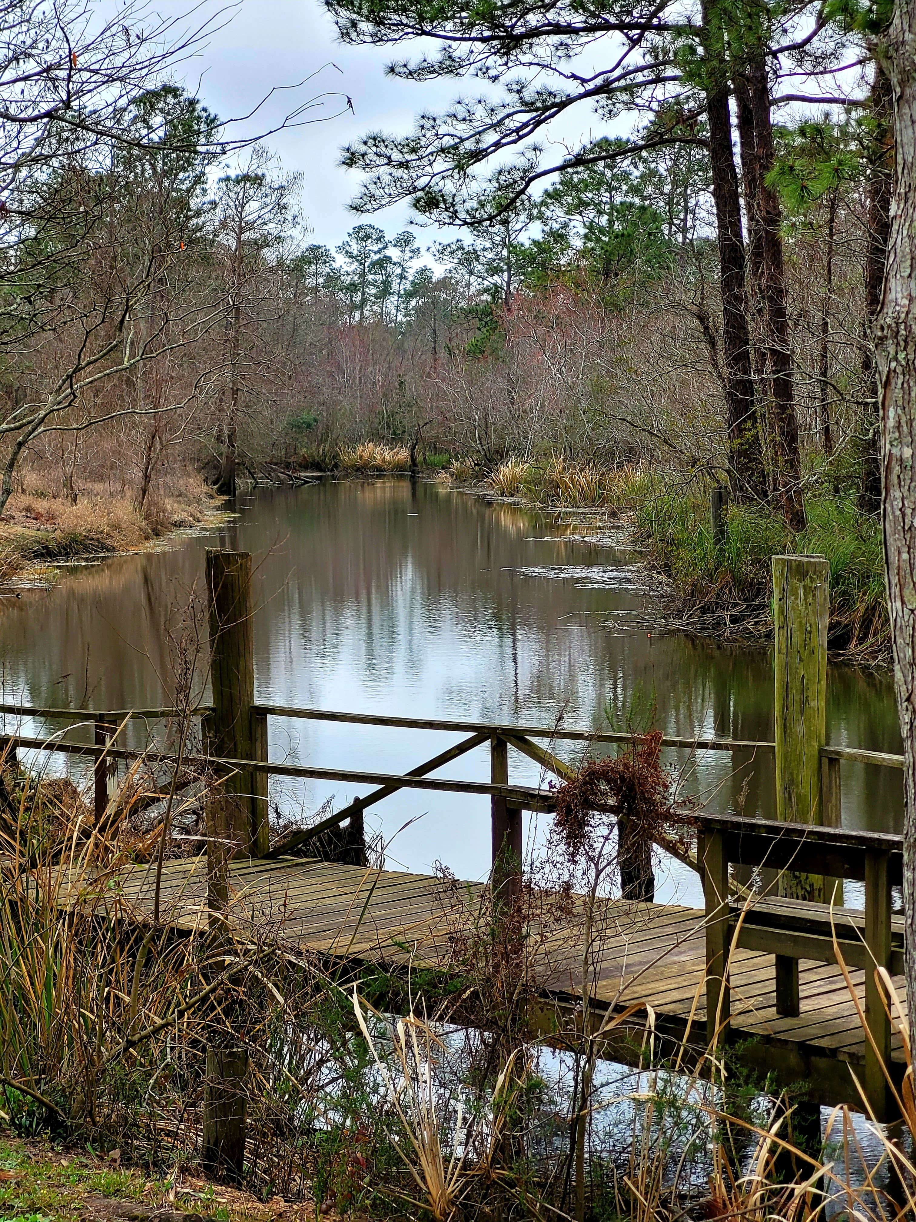 Camper-submitted photo at Wolf River Resort near Gautier, MS