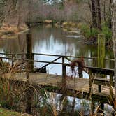 Review photo of Wolf River Resort by Timothy D., March 6, 2021
