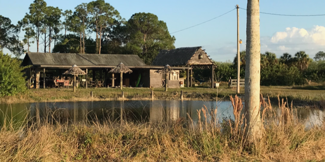 Camper submitted image from Ole Babcock Farm & Vineyard - CLOSED