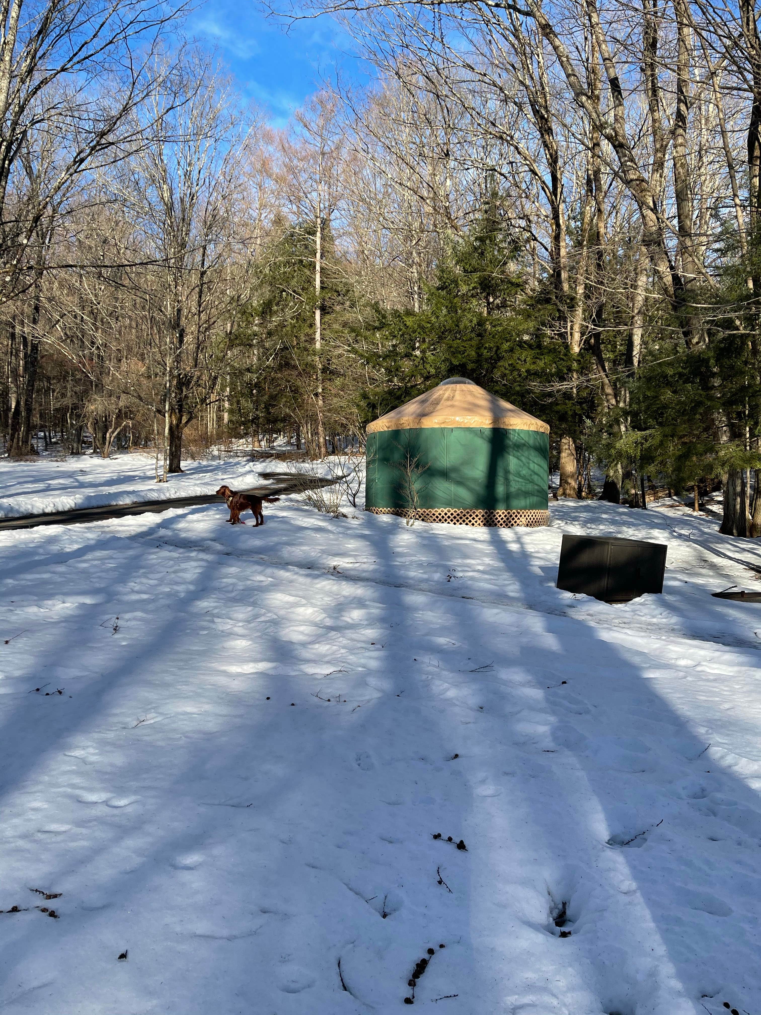 Cheryl B.'s photo at October Mountain State Forest Campground near Tanglewood, MA