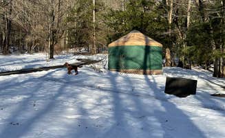 Cheryl B.'s photo at October Mountain State Forest Campground near Tolland, MA
