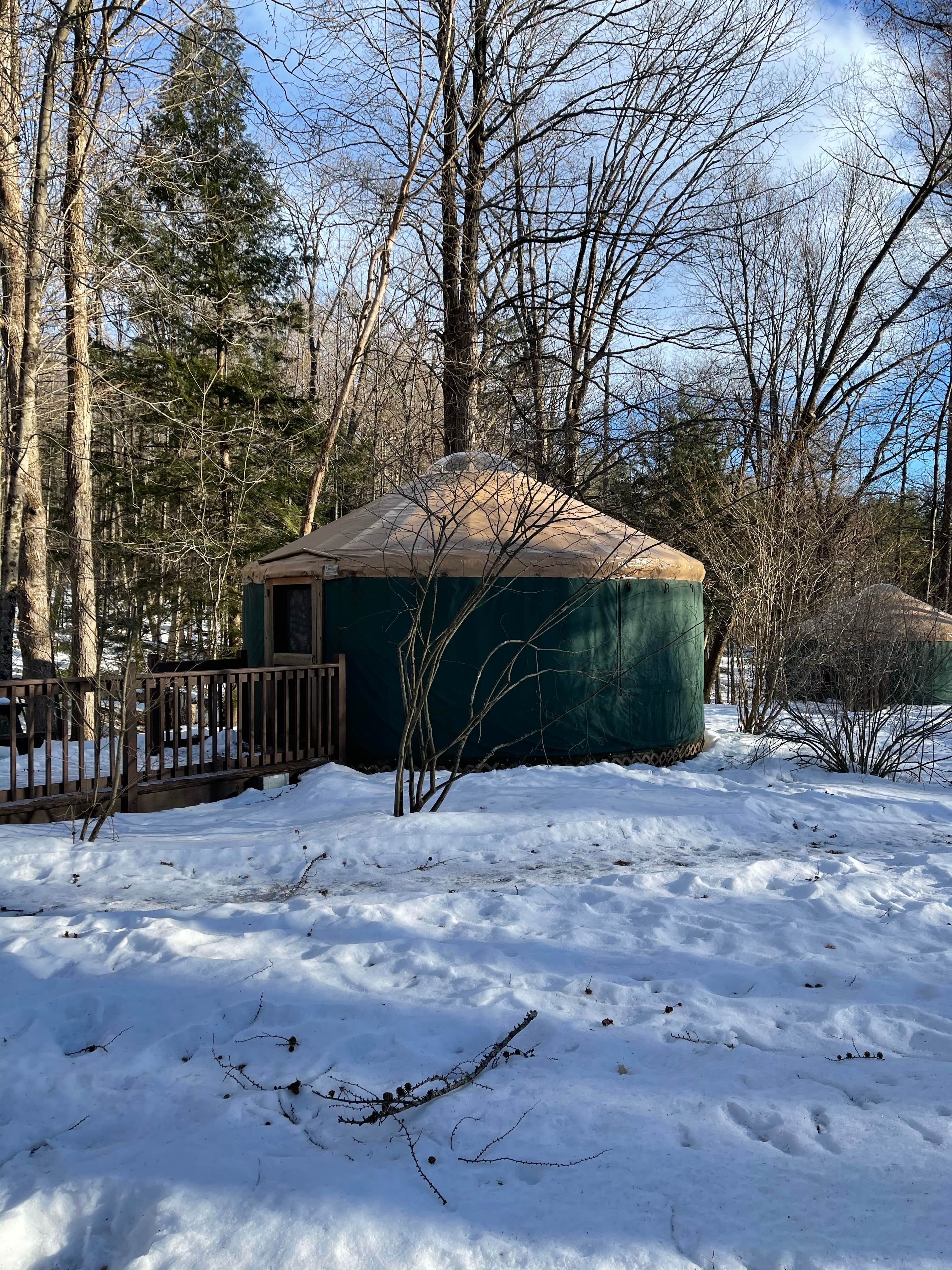 Cheryl B.'s photo of a cabin at October Mountain State Forest Campground near Whately, MA