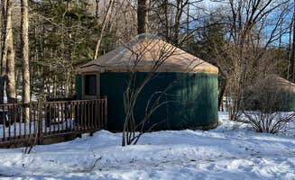 Cheryl B.'s photo of a cabin at October Mountain State Forest Campground near Cairo, NY