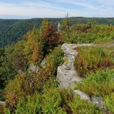 Review photo of Coopers Rock State Forest by Dave V., September 7, 2016