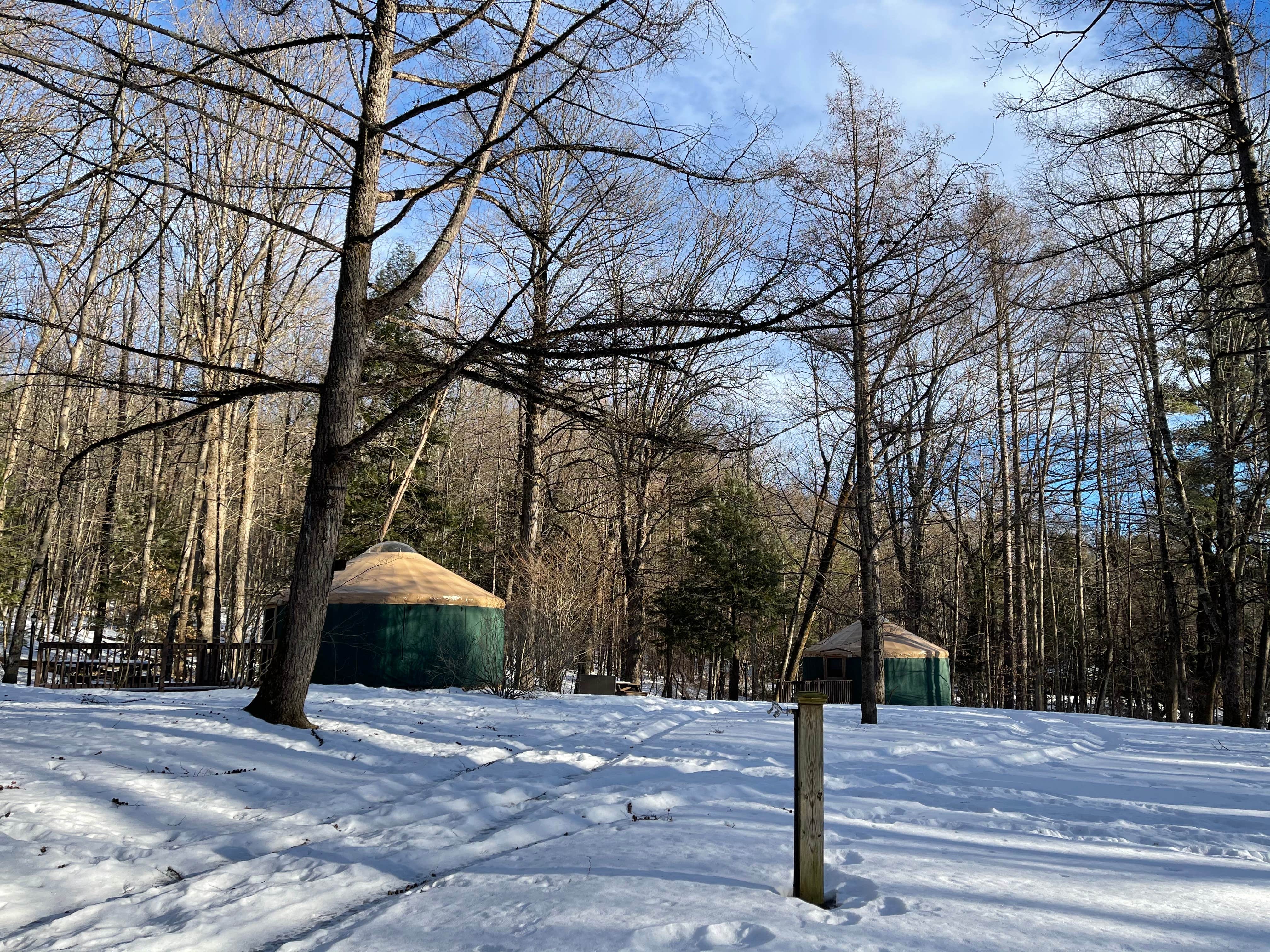 Cheryl B.'s photo at October Mountain State Forest Campground near Monterey, MA