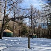 Review photo of October Mountain State Forest by Cheryl B., March 6, 2021