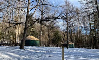 Cheryl B.'s photo at October Mountain State Forest Campground near West Stockbridge, MA