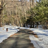 Review photo of October Mountain State Forest by Cheryl B., March 6, 2021