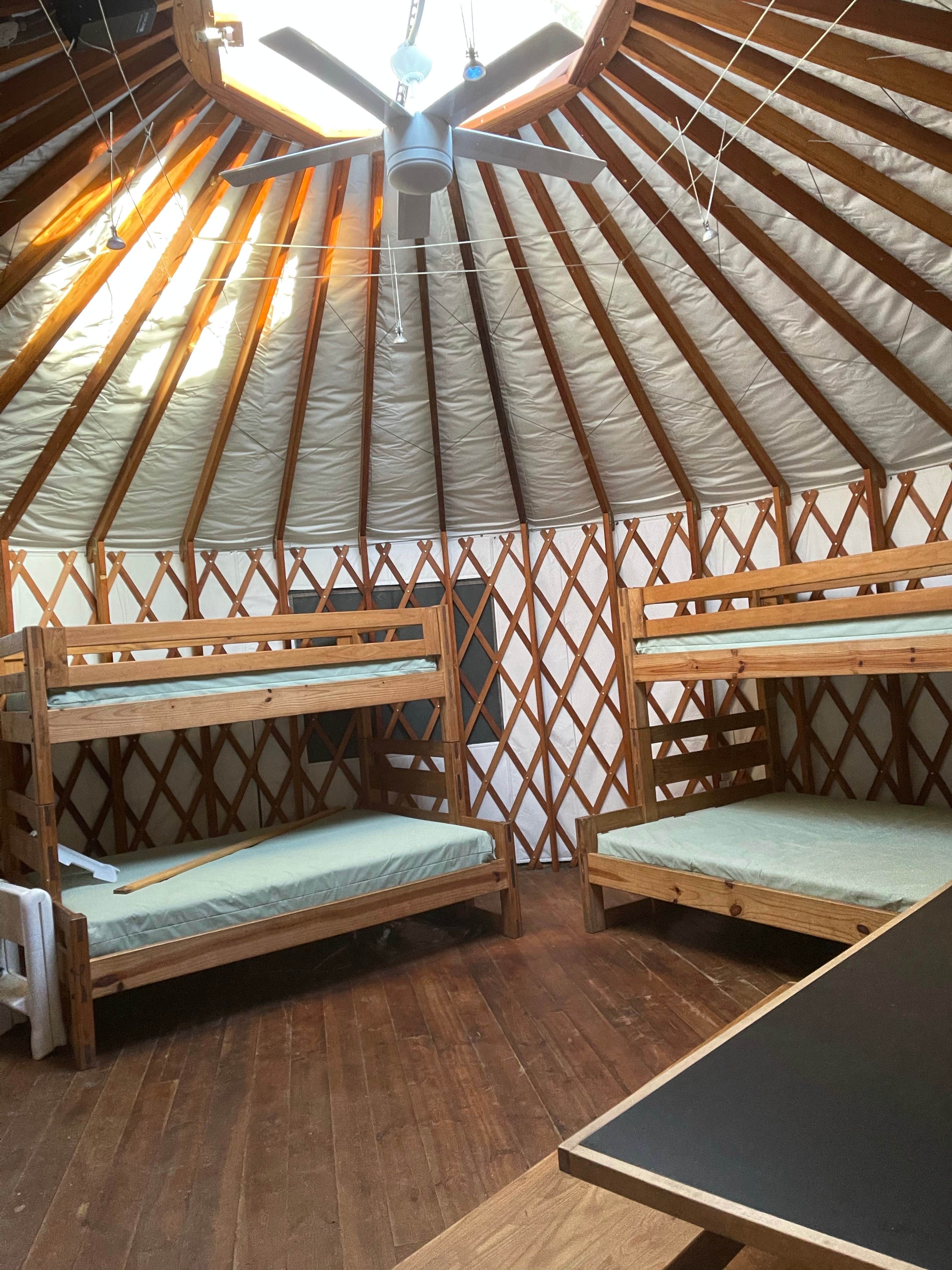 Cheryl B.'s photo of glamping accommodations at October Mountain State Forest Campground near Cummington, MA