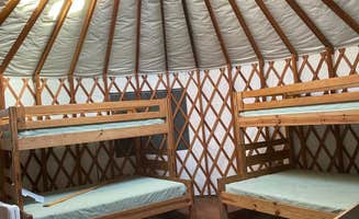 Cheryl B.'s photo of glamping accommodations at October Mountain State Forest Campground near Norfolk, CT