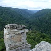 Review photo of Coopers Rock State Forest by Dave V., September 7, 2016