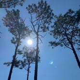 Review photo of Seminole State Park Campground by jessica O., March 6, 2021