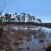 Review photo of Seminole State Park Campground by jessica O., March 6, 2021