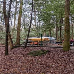 Vogel State Park Campground