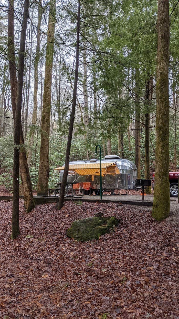 Camper submitted image from Vogel State Park Campground - 1