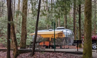 Camping near Desoto Falls Recreation Area: Vogel State Park, Suches, Georgia