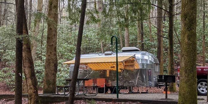 Camper submitted image from Vogel State Park Campground