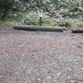 Review photo of Jedidiah Smith Campground — Redwood National Park by Deleting App D., March 6, 2021