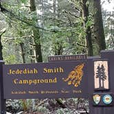 Review photo of Jedidiah Smith Campground — Redwood National Park by Deleting App D., March 6, 2021