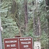 Review photo of Jedidiah Smith Campground — Redwood National Park by Deleting App D., March 6, 2021