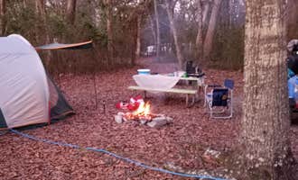 Camping near The Barn at Bluff Creek Farms: Shepard State Park Campground, Gautier, Mississippi