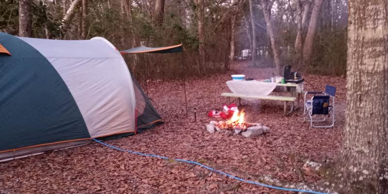 Camper submitted image from Shepard State Park Campground