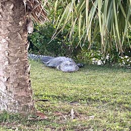 Monument Lake Campground — Big Cypress National Preserve