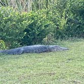 Review photo of Monument Lake Campground — Big Cypress National Preserve by Bob S., February 28, 2021