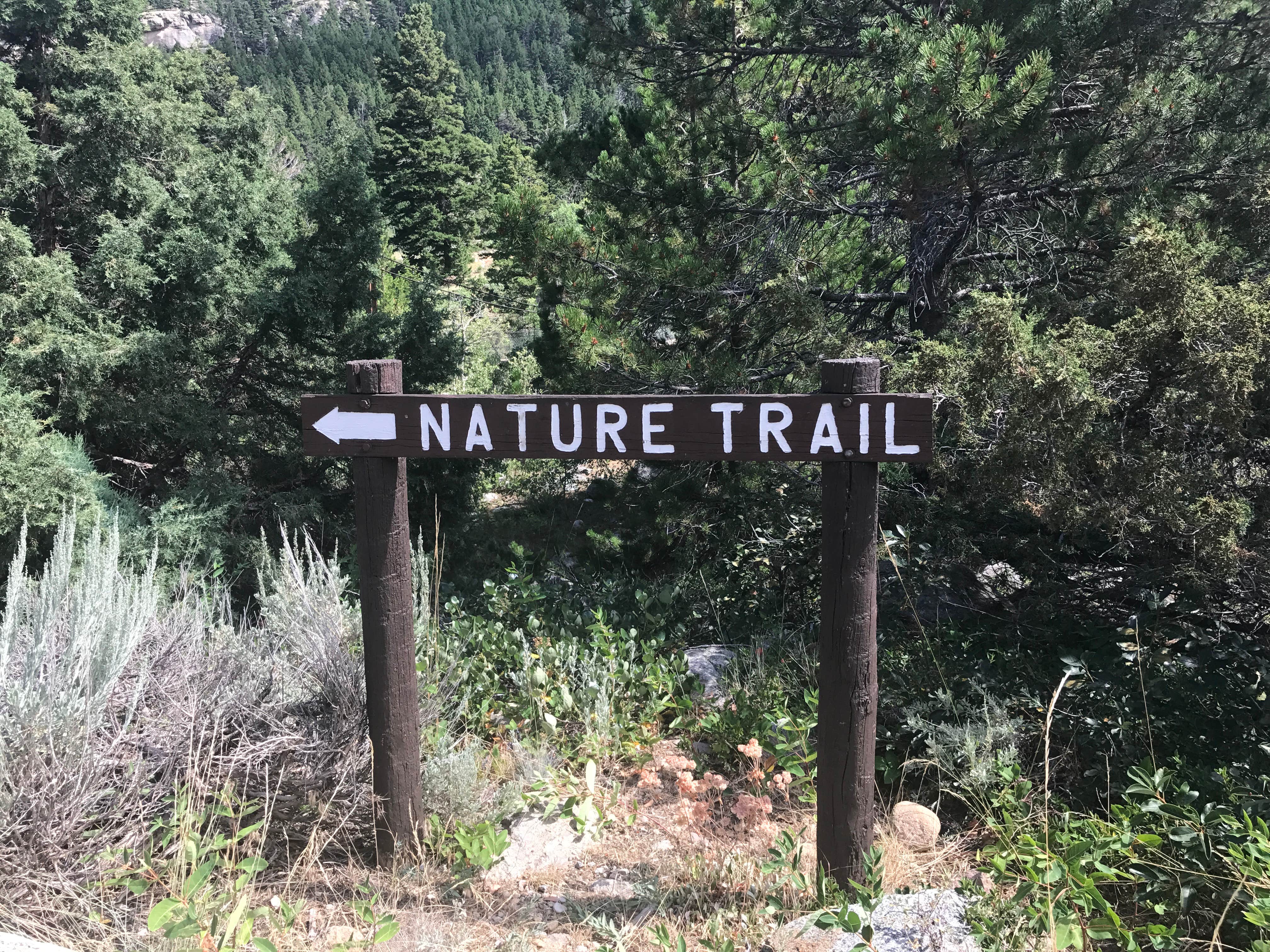 Camper-submitted photo at Popo Agie Campground — Sinks Canyon State Park near Boulder, WY