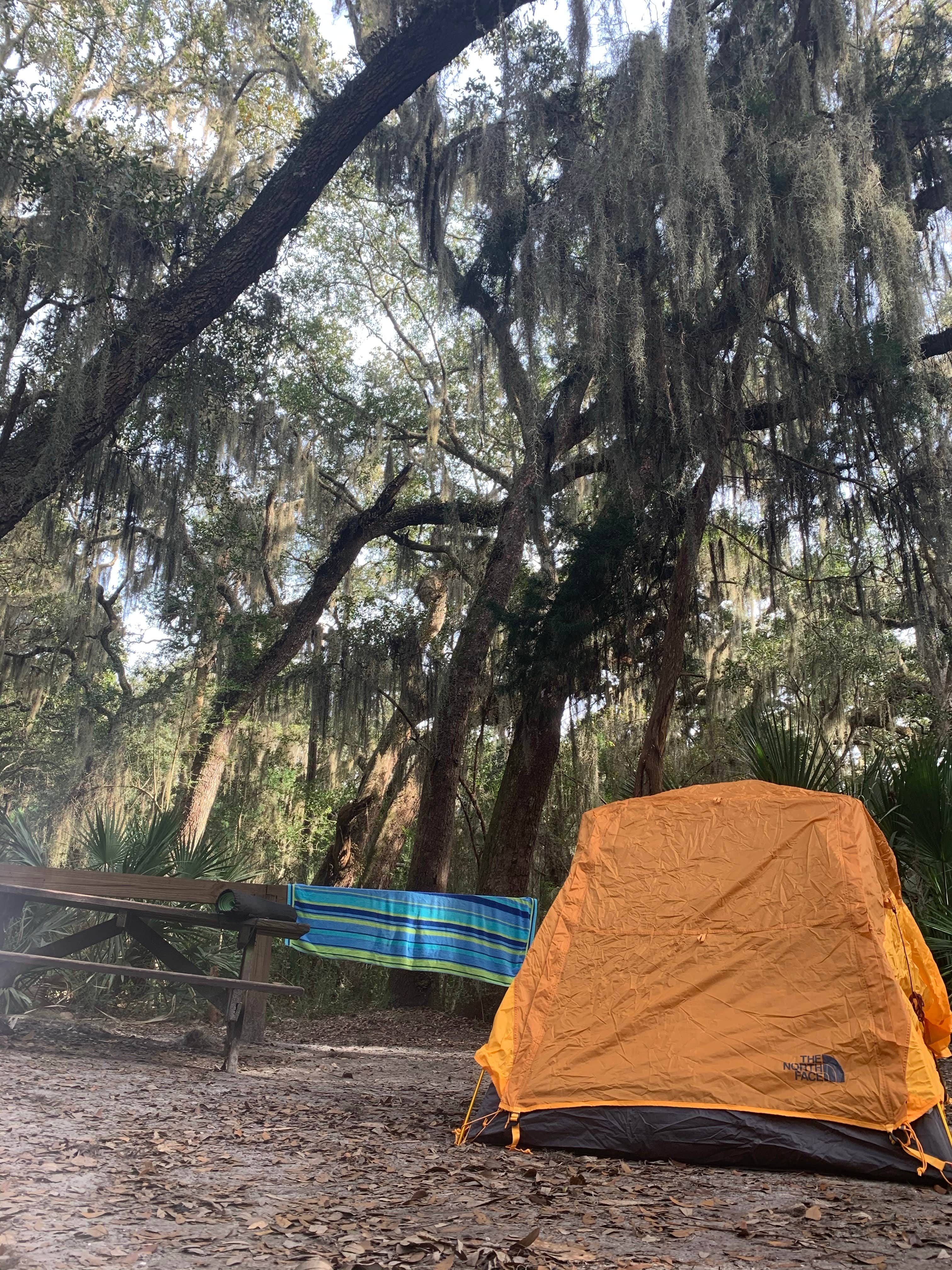Camper-submitted photo at Little Talbot Island State Park Campground near Woodbine, GA